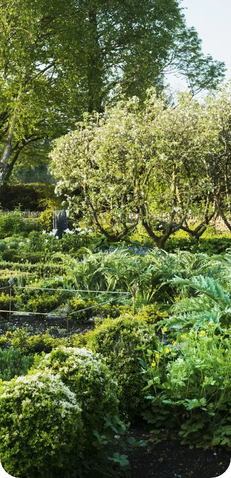 Taille de haie réalisée par un professionnel des espaces verts